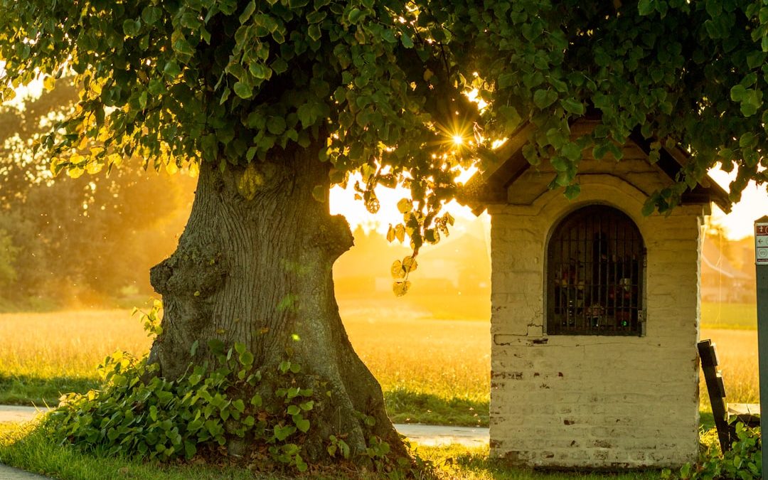 The Original Israelites: A Historical Perspective